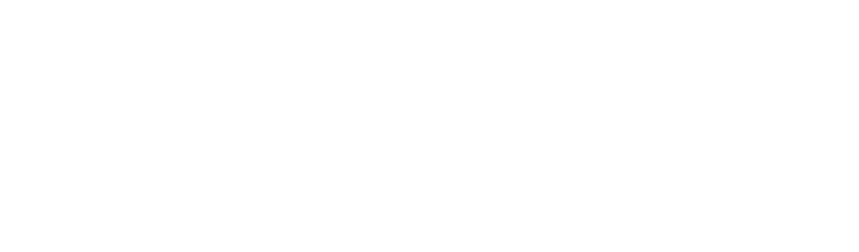 Lange Sports Logo